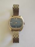 Citizen 21 kamieni model 0100
