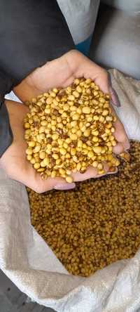 Насіння сої' Monsanto посівний матеріал Піонер ''А''' ГМО соя на посів