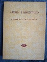Arnim I Brentano, Cudowny róg chłopca