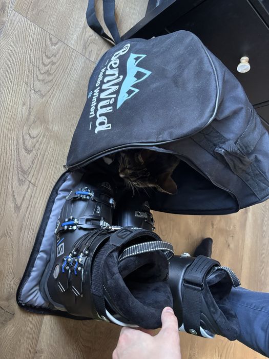 Buty narciarskie Salmon X access wide80 29/29.5