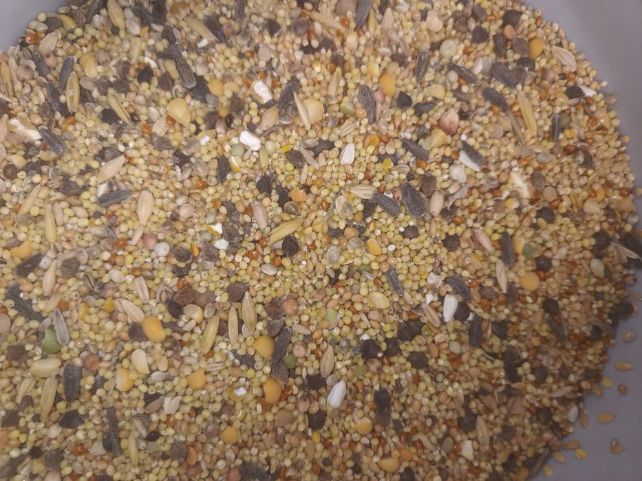 Mieszanka drobnych ziaren papugi kury przepiórki 25kg