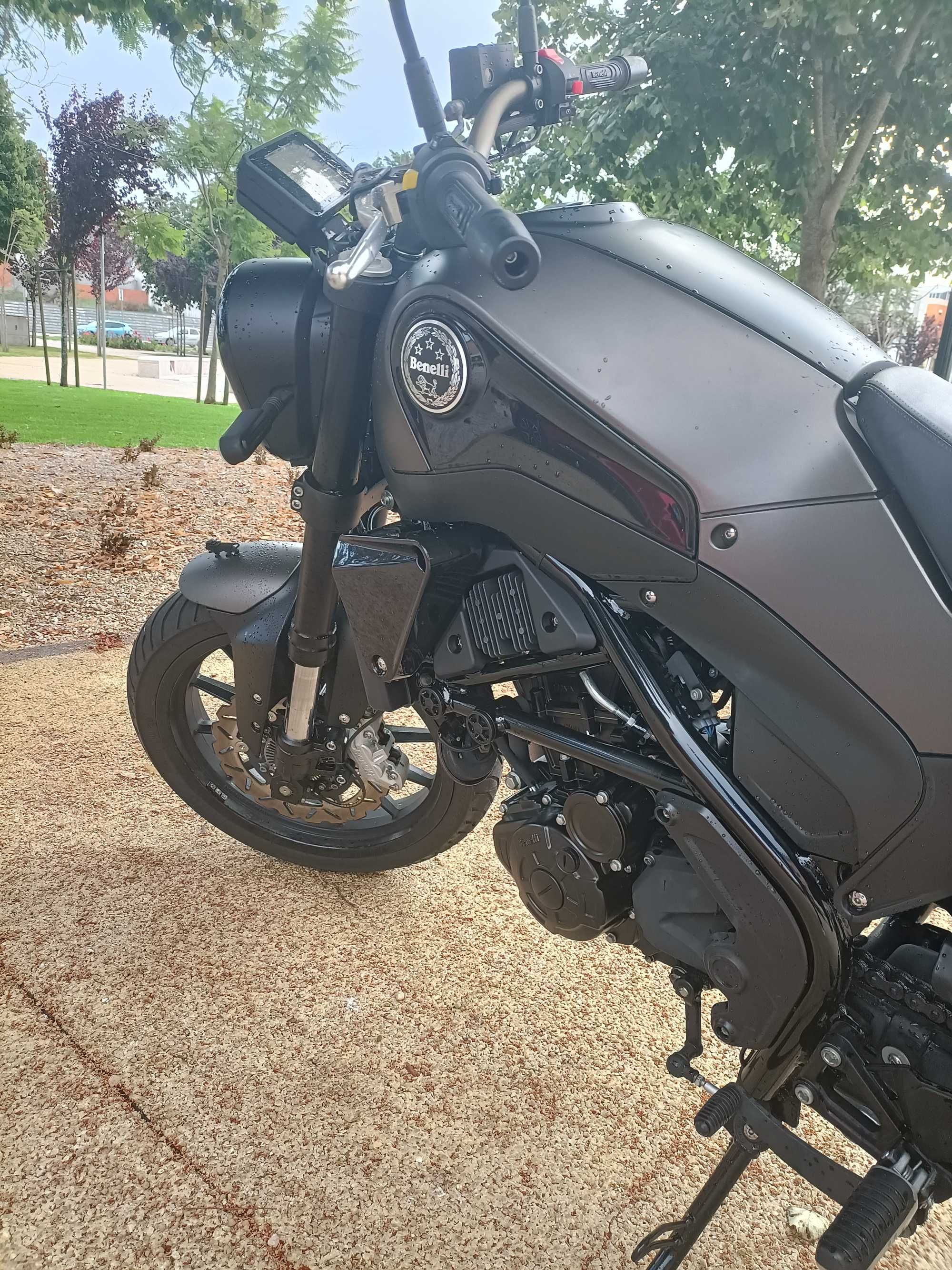 Benelli leoncino 250