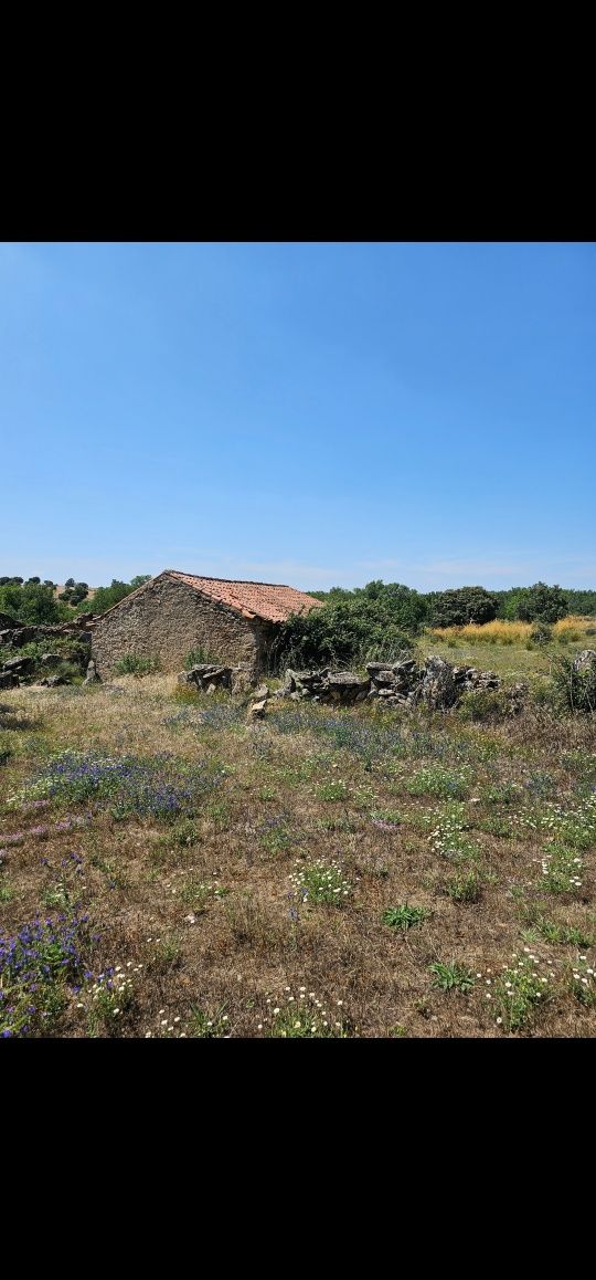 Terreno com 2 casas e outro lameiro