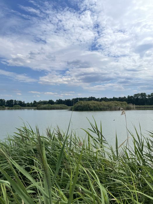 Stawy Hodowlane 50 ha - ogrodzone