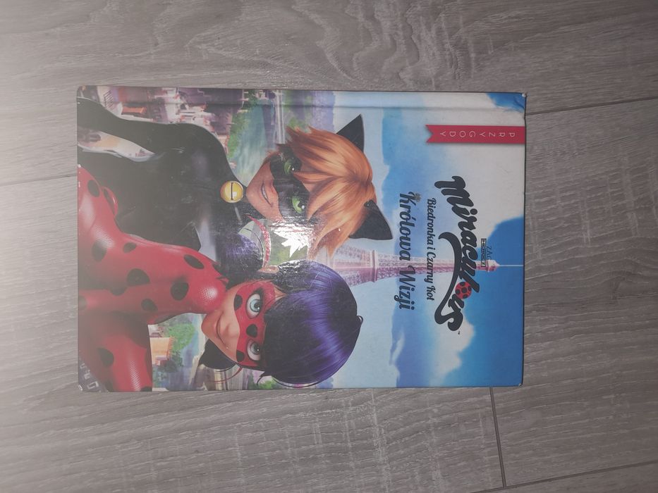 Książka dla dzieci pt ,,biedronka i czarny kot"