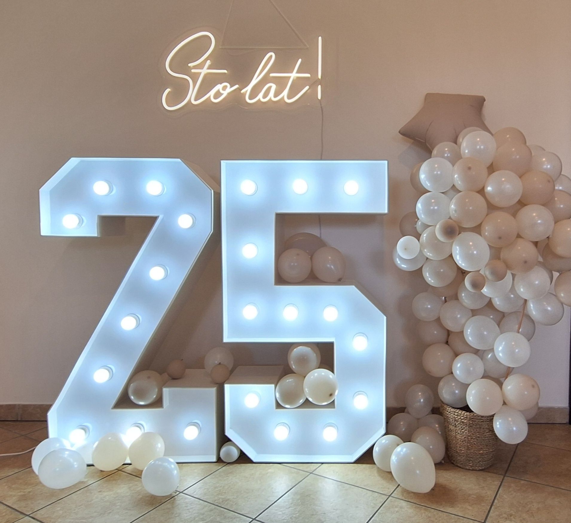 Wynajem Napisów Neonowych, Cyfr LED 120 cm