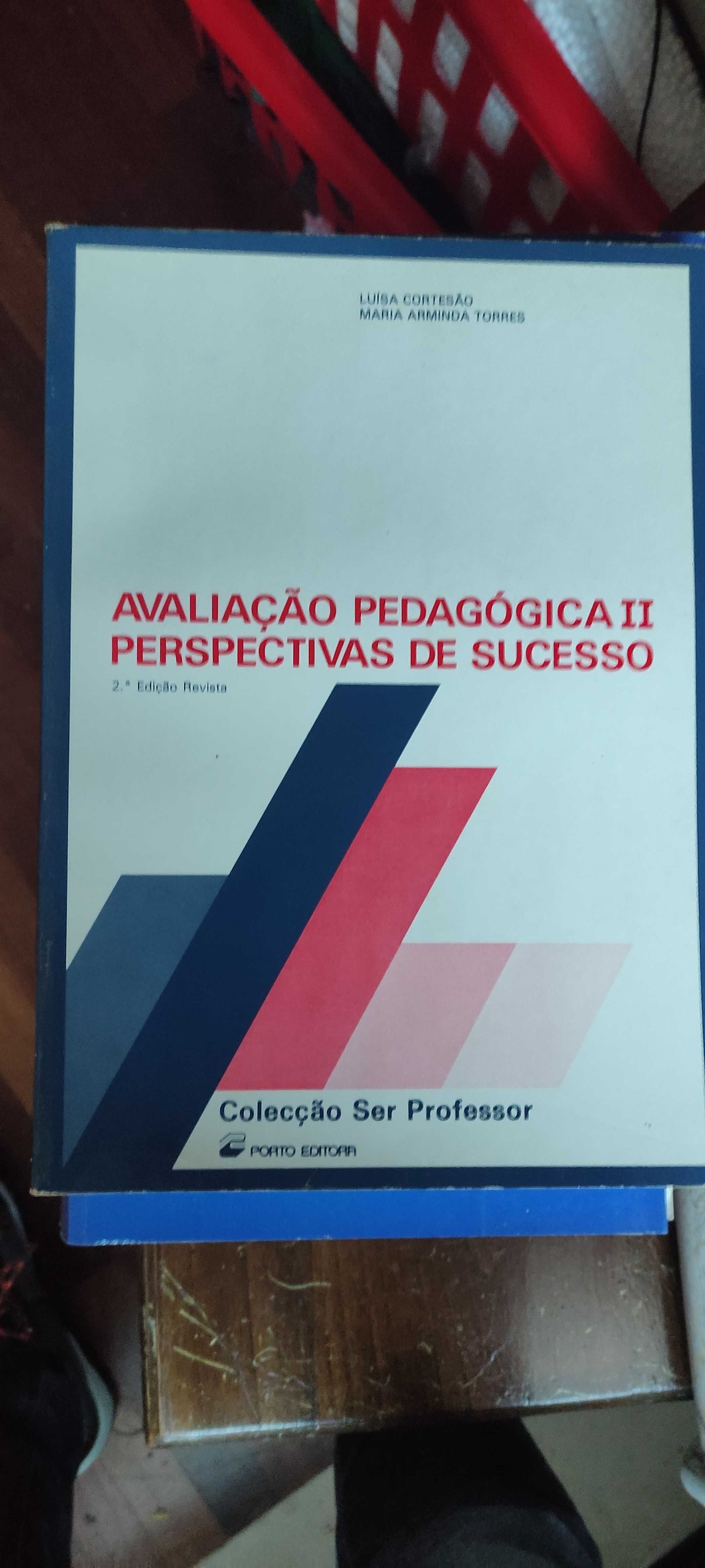 Avaliação Pedagógica II - Perspetivas de Sucesso