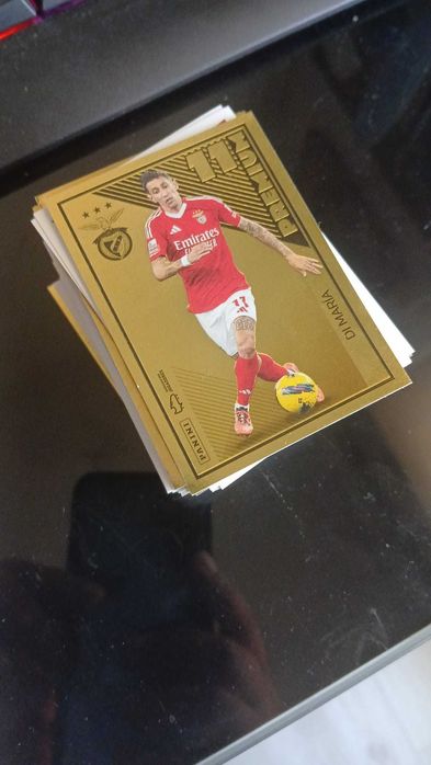 Cromos Futebol 2024-25 - PANINI