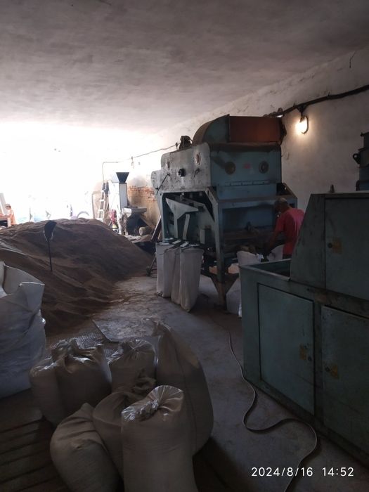 Продам насіння люцерни Надія