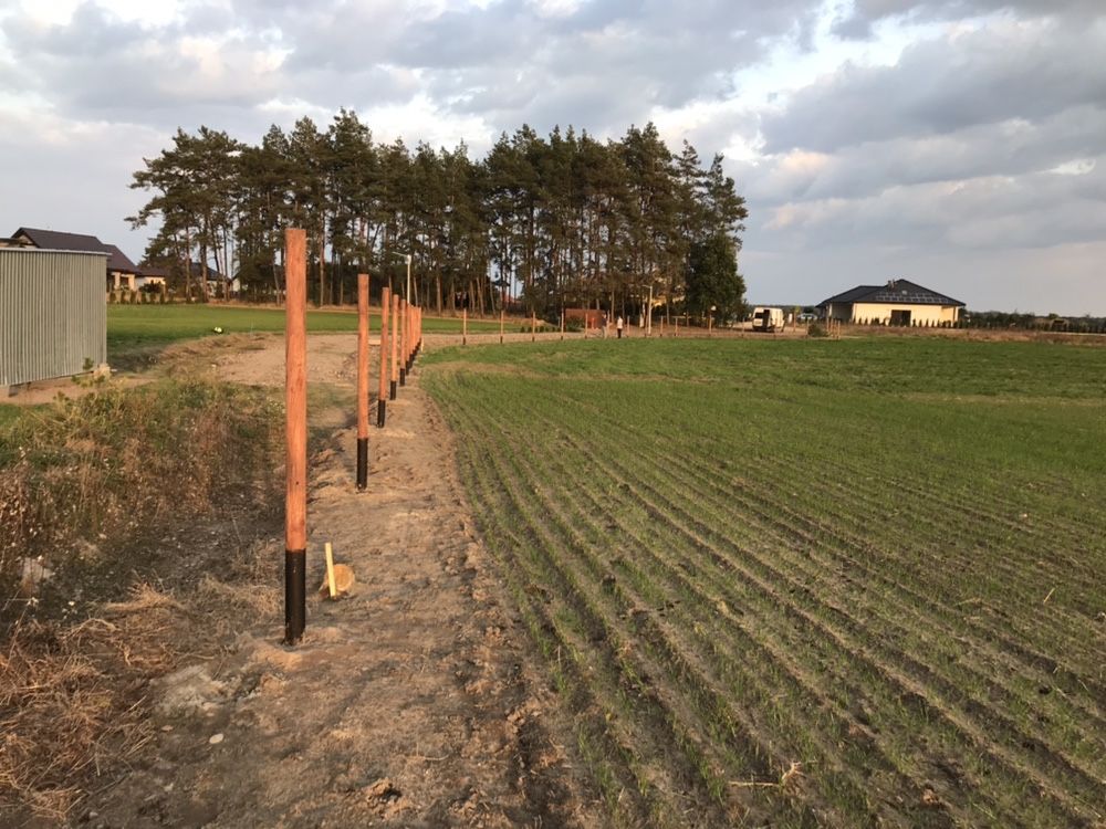 Ogrodzenie leśne płot tymczasowy budowlany tanio 17zł/Mb ASF