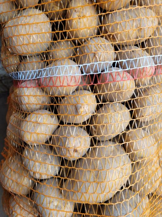 Ziemniaki Jadalne Lord