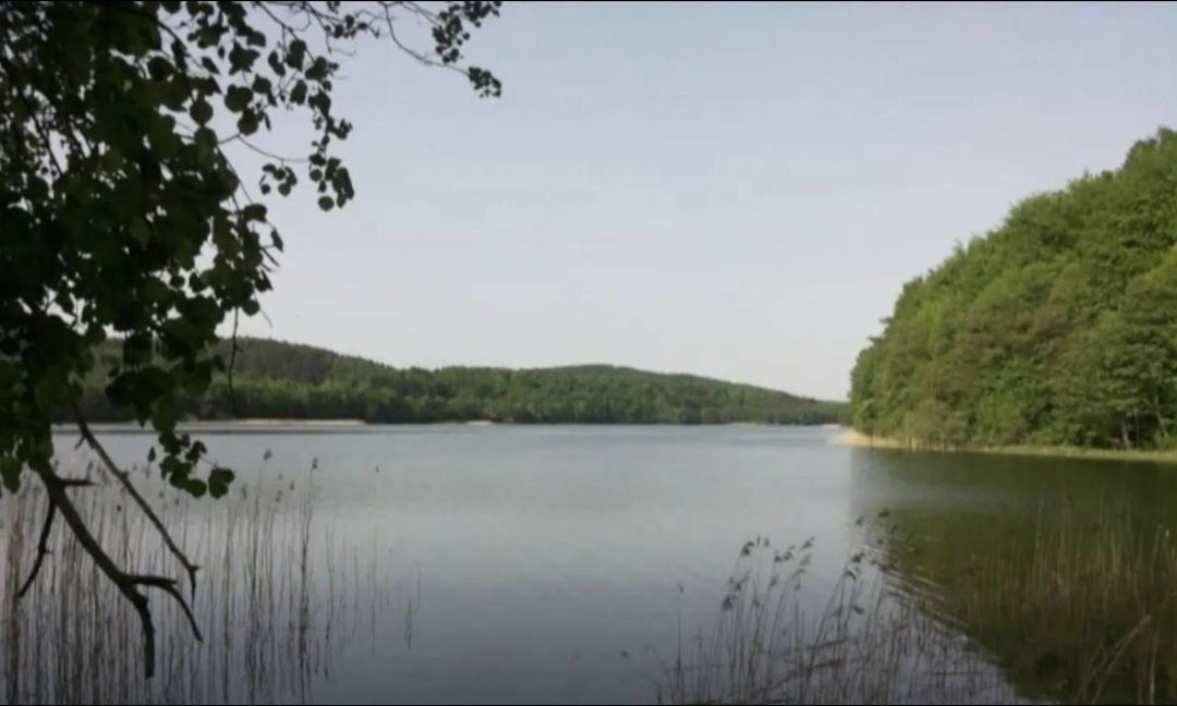 Domek nad jeziorem z dużym terenem