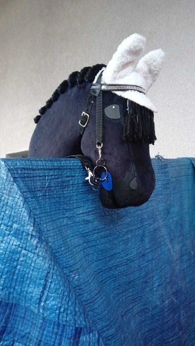 Sprzedam Hobby Horse  A3