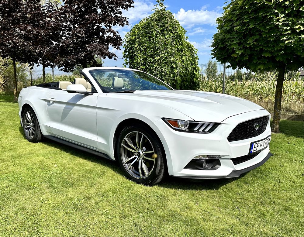 Audi RS Q3 / Q8 Mercedes AMG Mustang CABRIO  wynajem aut wypożyczalnia
