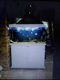 Akwarium morskie Juvel 200 litrów