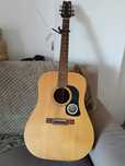 Guitarra acústica Washburn