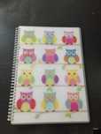 Lotes cadernos Notebook