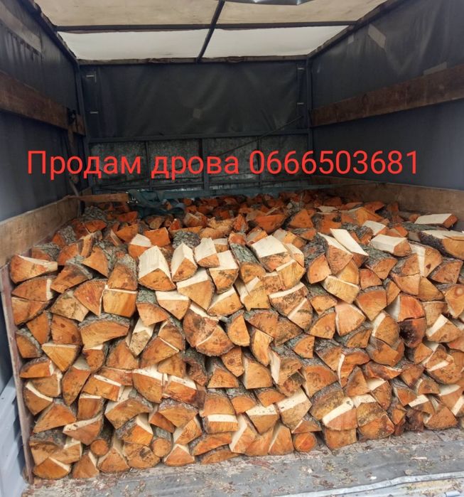 Продам дрова колотые