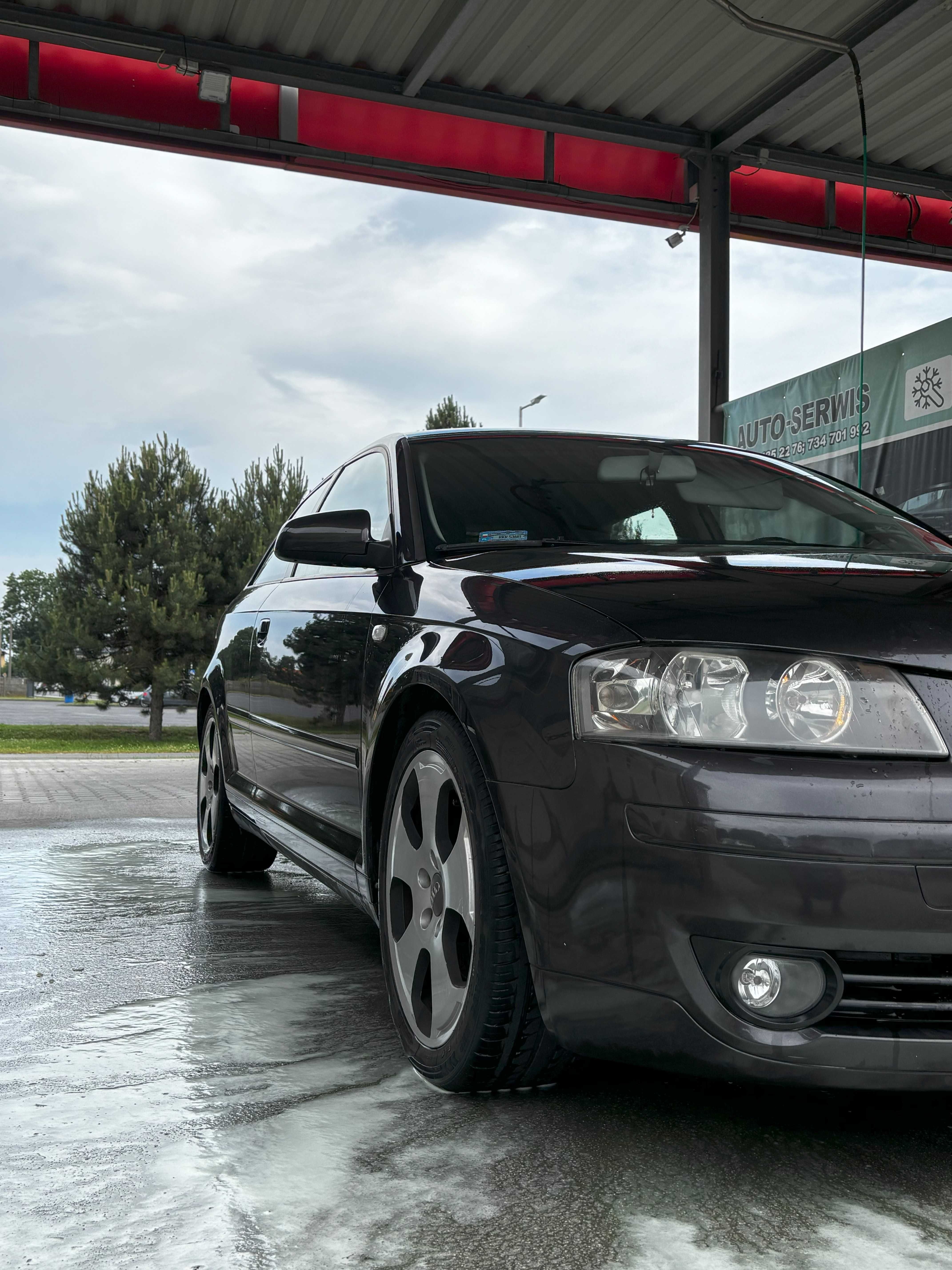 Audi A3 8P 1.6 MPI - idealne na pierwsze auto!