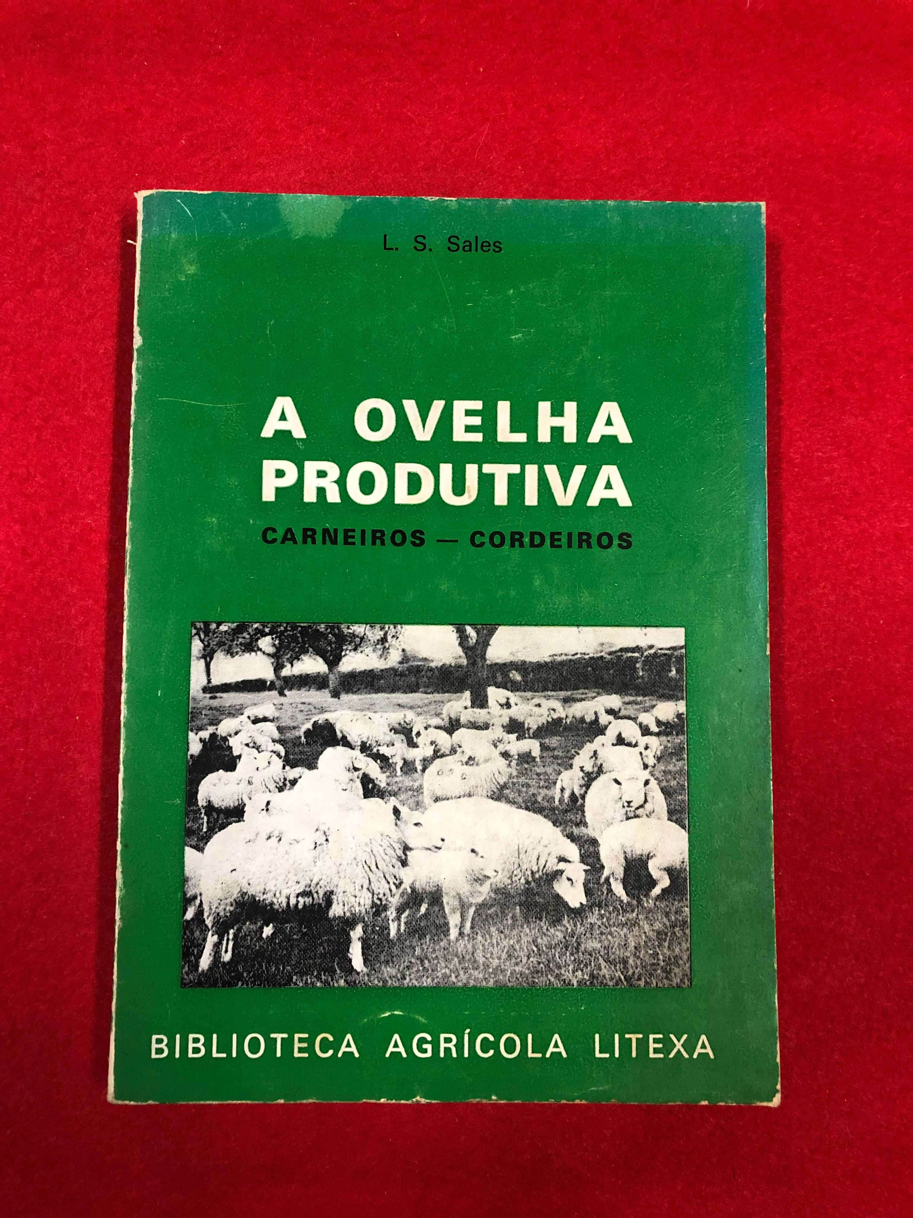 A ovelha produtiva- Carneiros – Cordeiros -  L.S. Sales