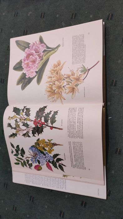 Jardins Fleuris 451 Ilustratiosn en Couleurs