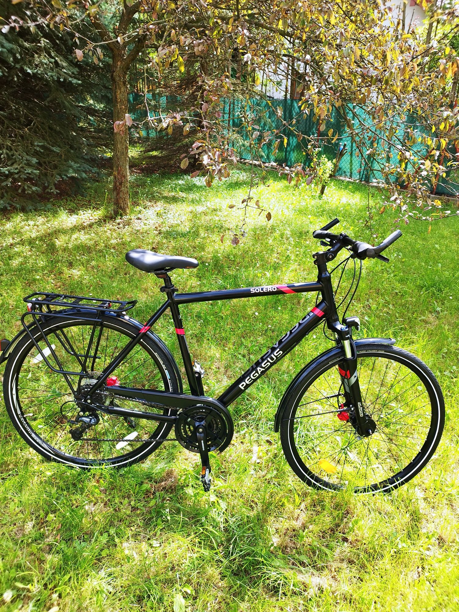 PEGASUS Solero Disc na kołach 28 cali Shimano Deore