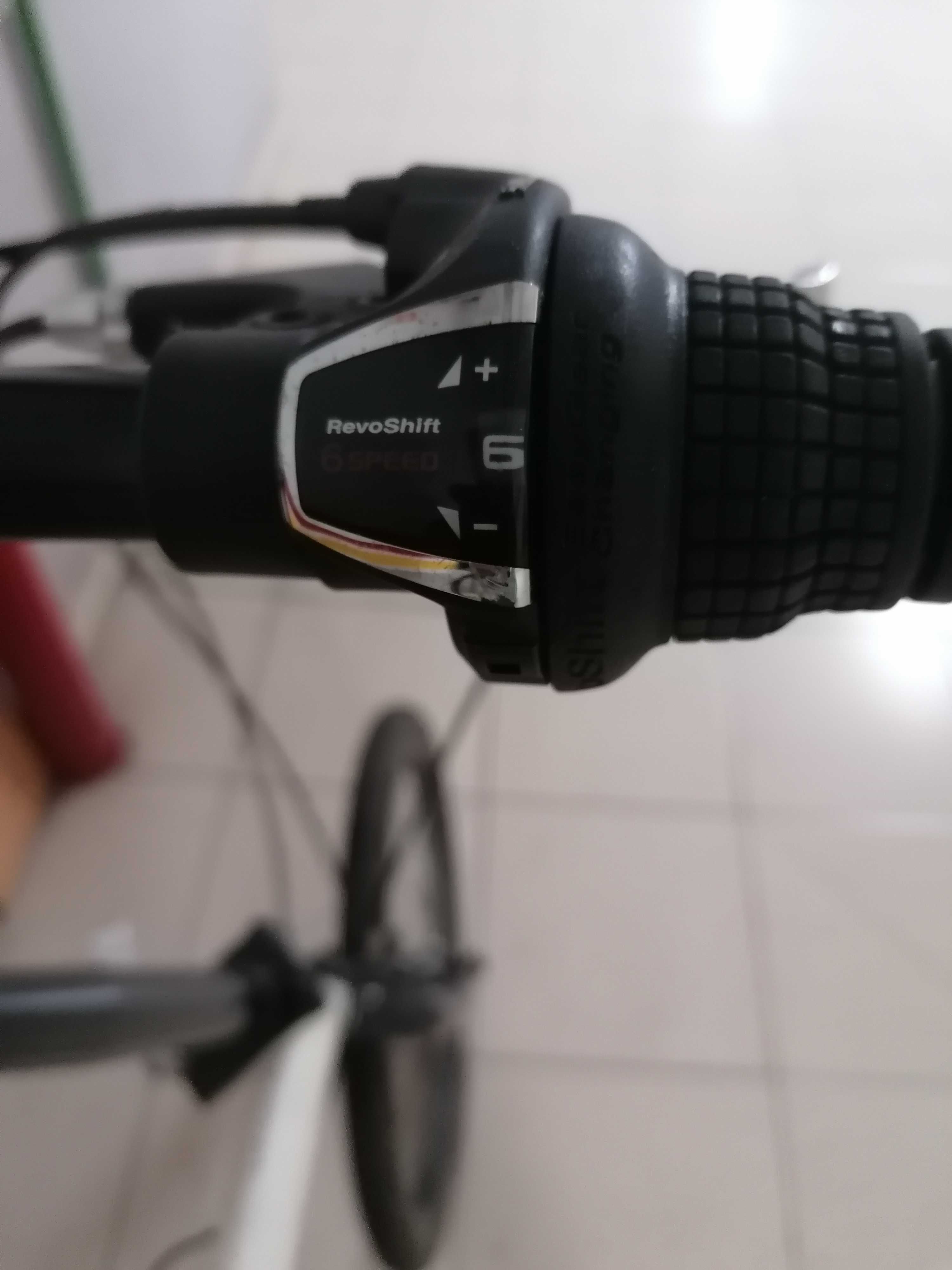Bicicleta dobrável - Berg