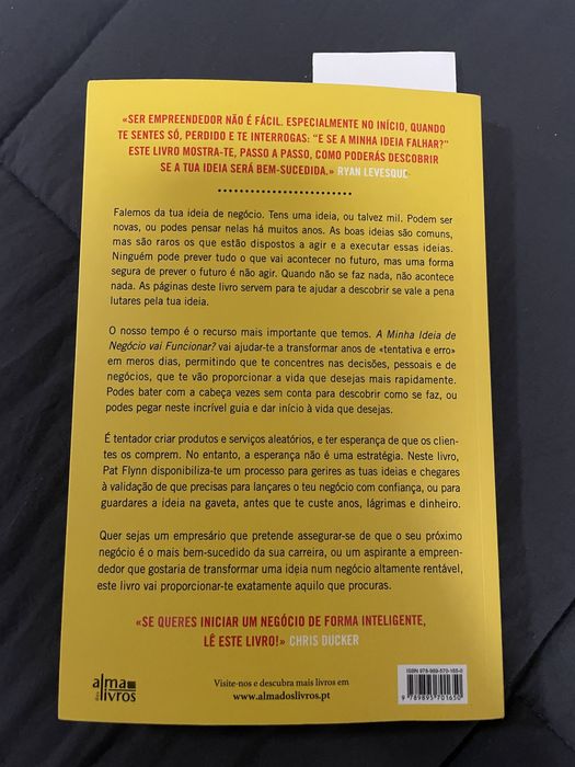 A minha ideia de negocio vai funcionar