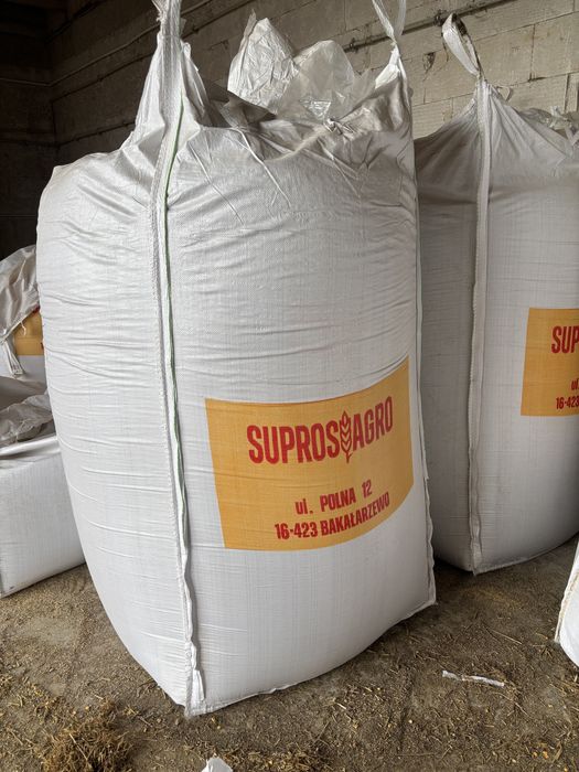 Worki BigBag big bagi