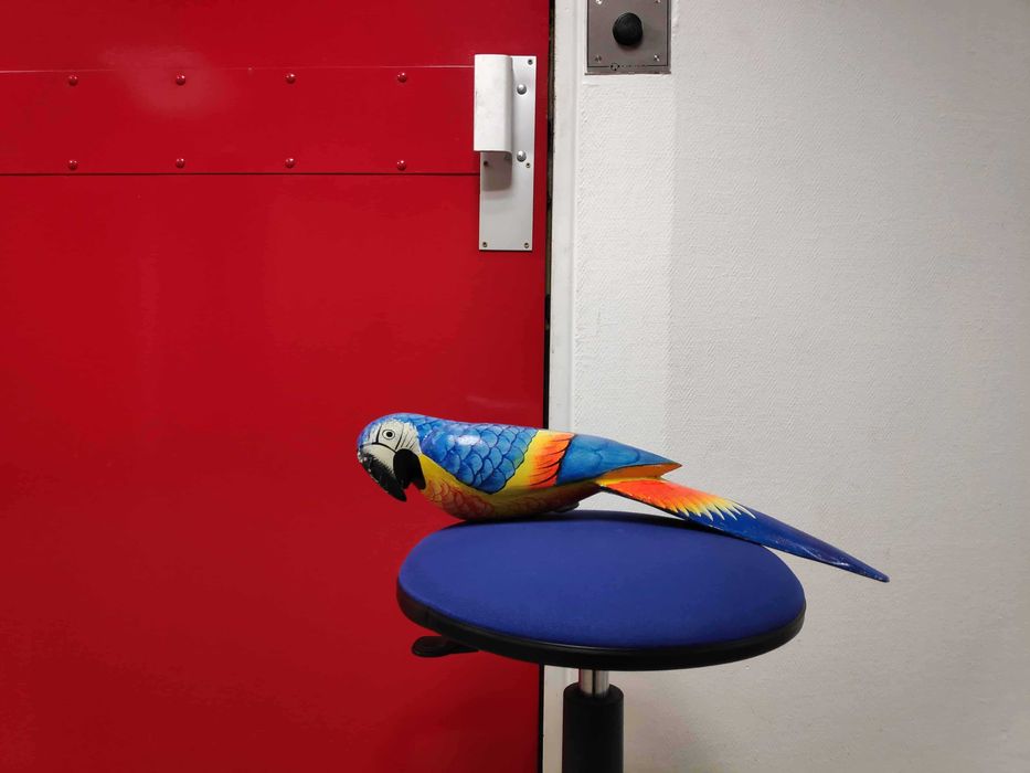 Vendo XIAOMI Poco F1