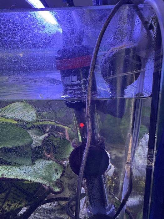 Vendo aquario a trabalhar