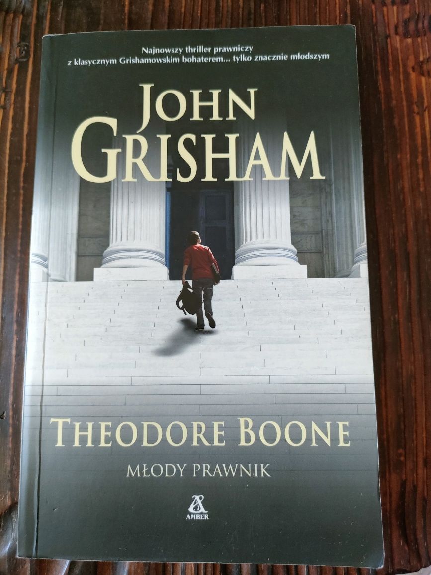 John Grisham, Theodore Broone młody prawnik