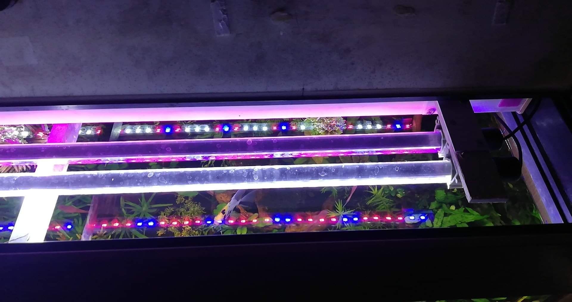 Oświetlenie led do akwarium roślinnego 70cm nowe gwarancja