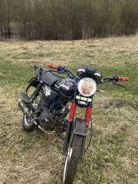 musstang mt 125 2022