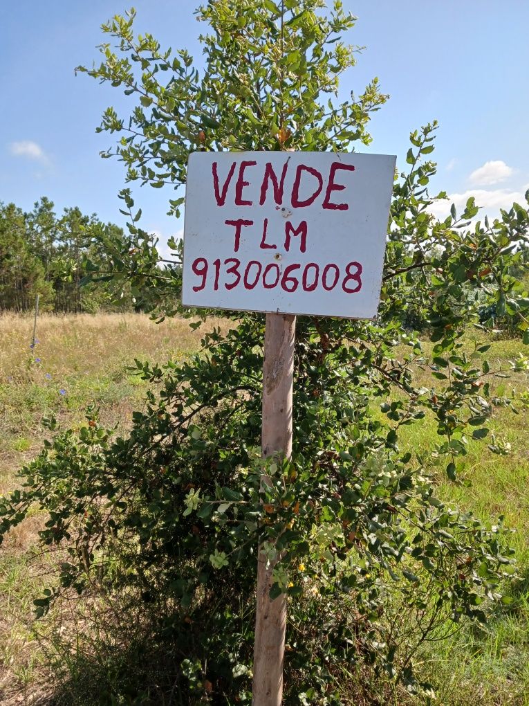 Terreno rústico com 3.700m quadrados