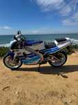Suzuki RGV  250