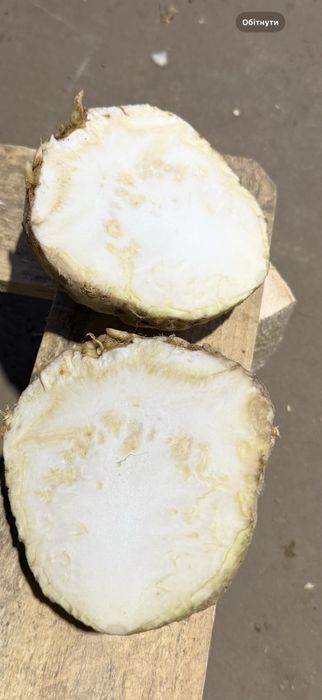 Селера, мита , чищена