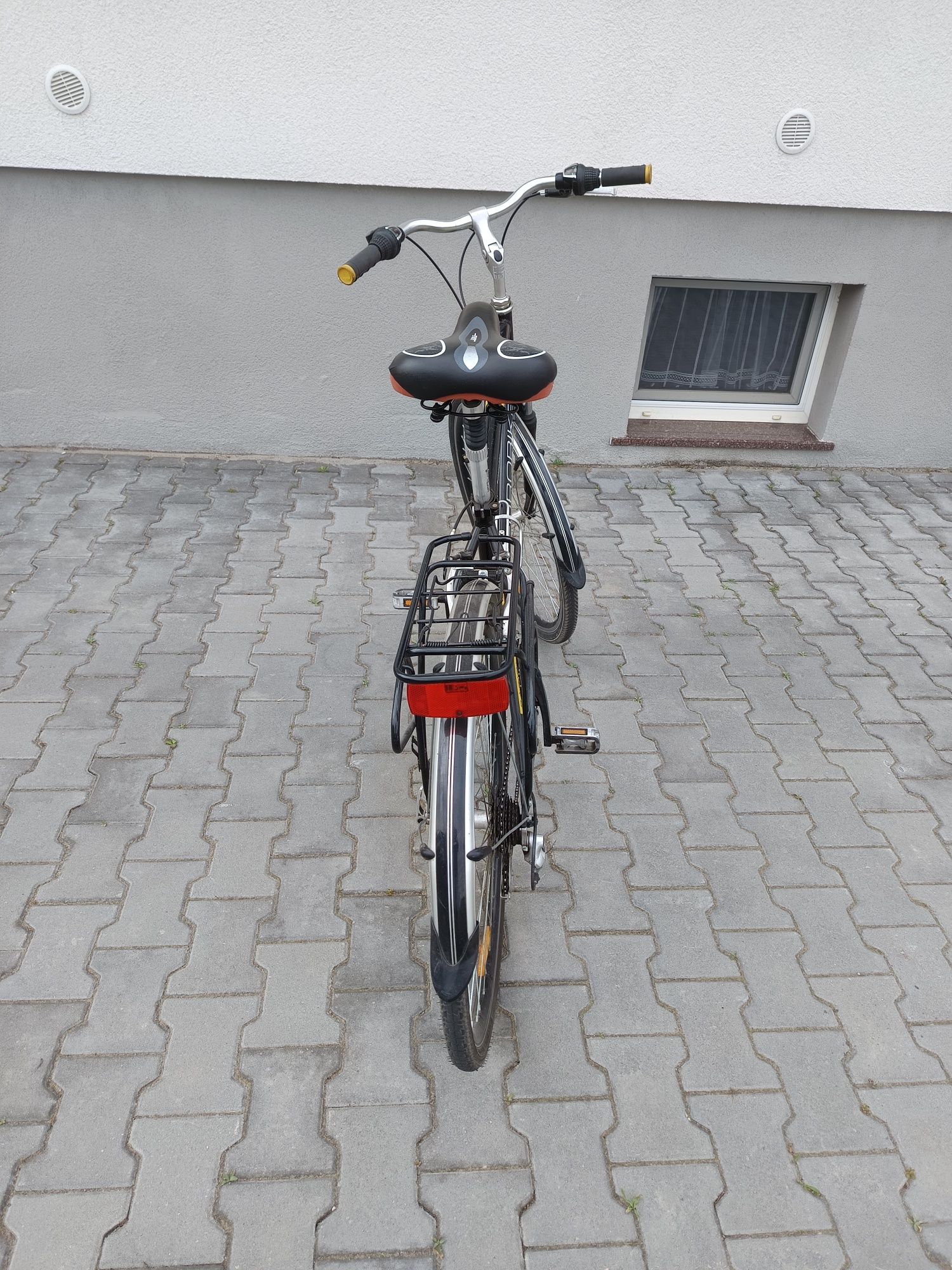 Rower Eurobike Basic+