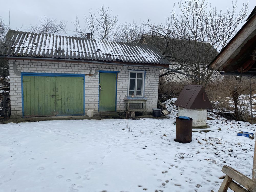 Будинок в Скоморохах