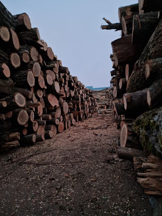 Дрова Колотые честный объём