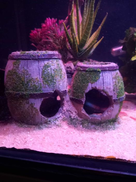 Aquário 144L Equipado e Pronto a Usar + Oferta de Dicas