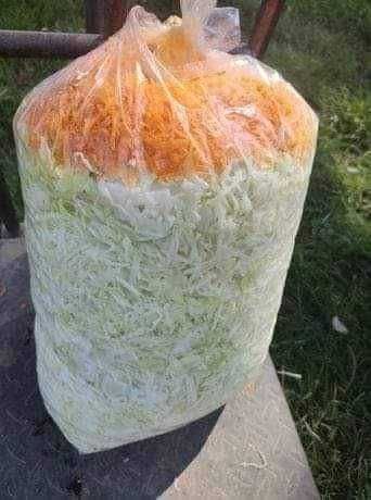 Sprzedam kapustę szatkowaną