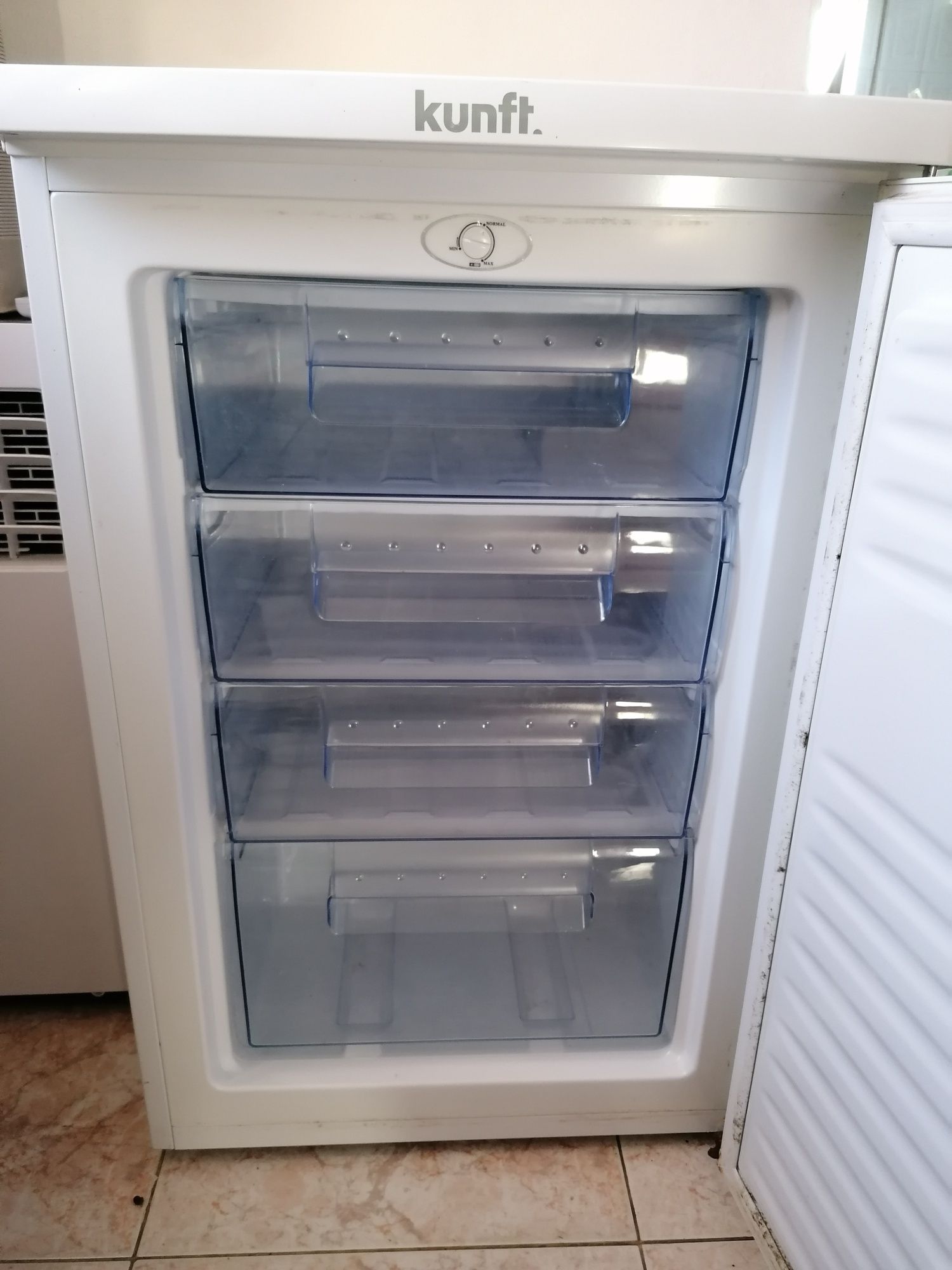 Arca congeladora