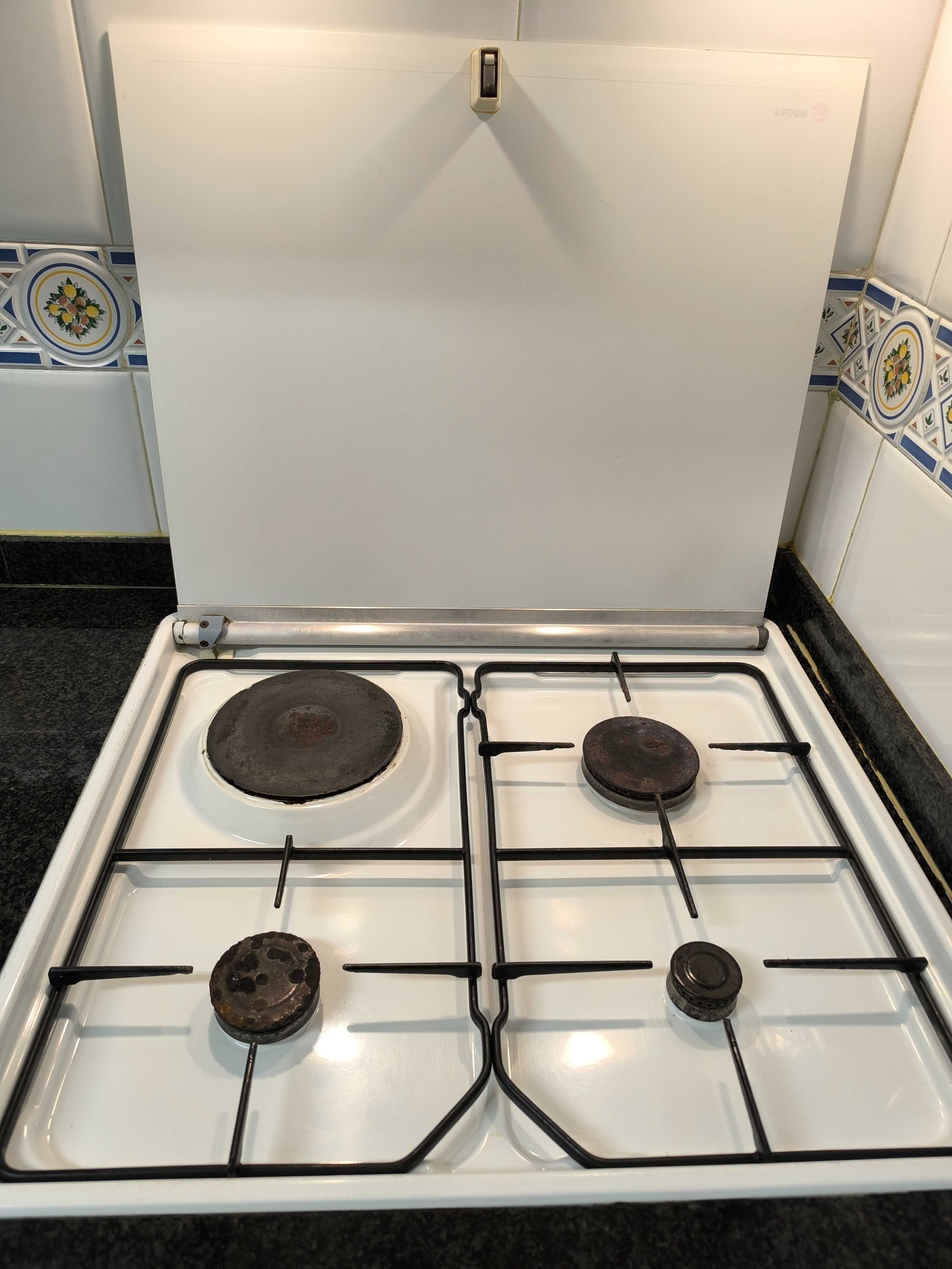 Forno e placa Fagor