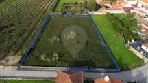 Terreno  para venda