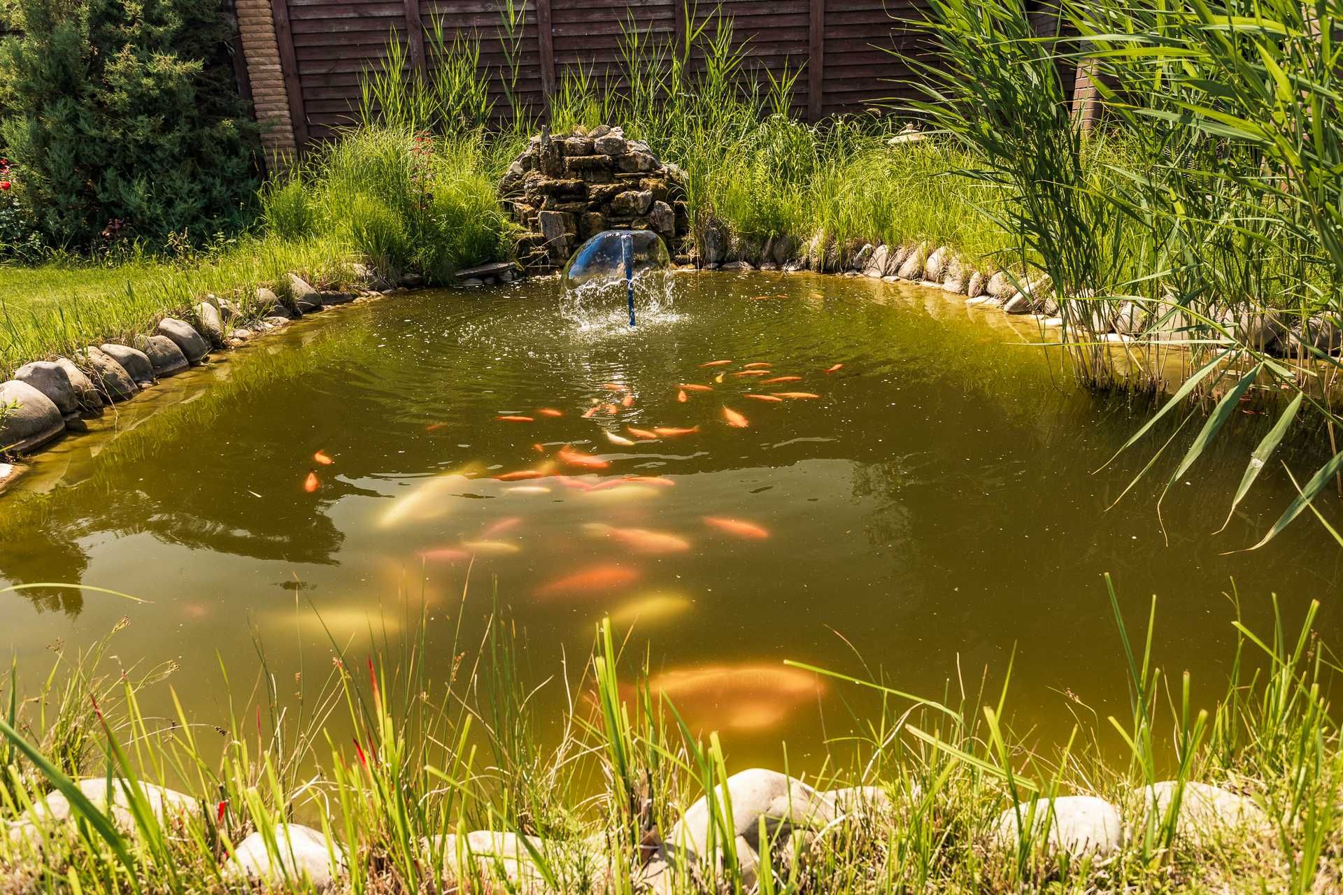 Оренда будинку з басейном та виходом на воду в Осещині, комплекс Яхта