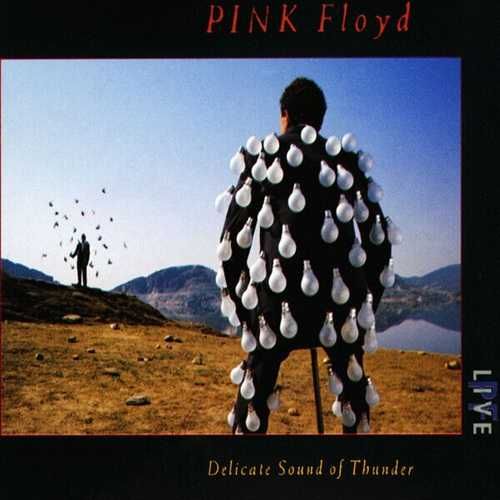 Delicate Sound of Thunder - 2 CD,s Pink Floyd