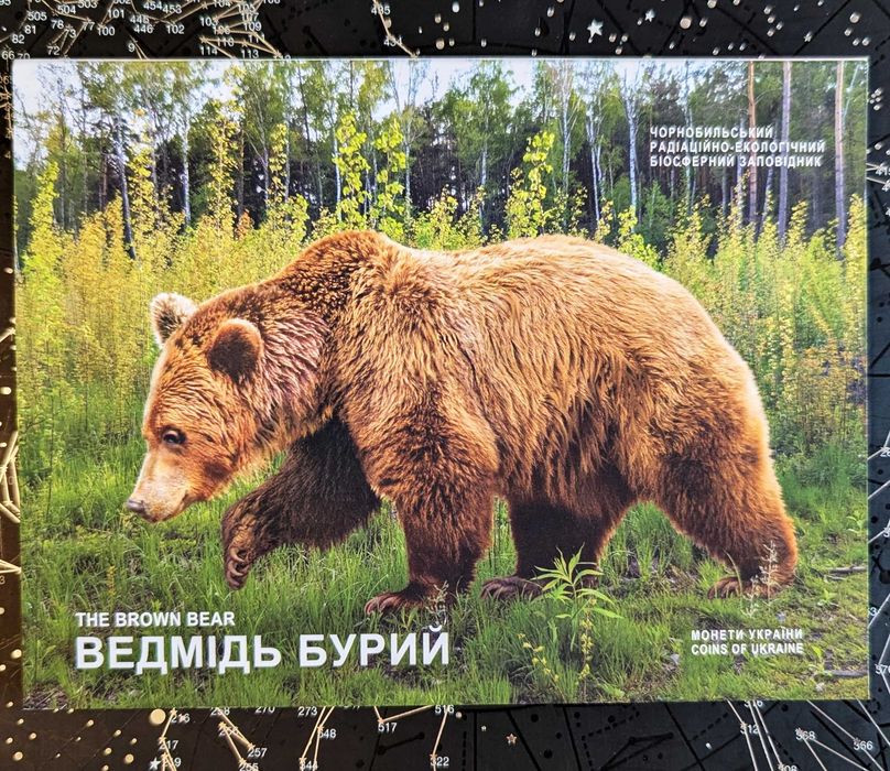 Паковання до монет НБУ Ведмідь бурий та 25 років назалежності України