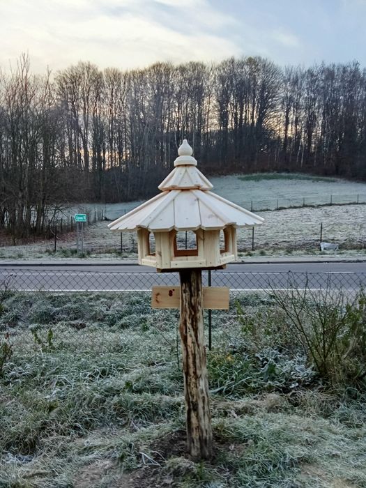 Piękny z drewna Karmnik dla ptakow