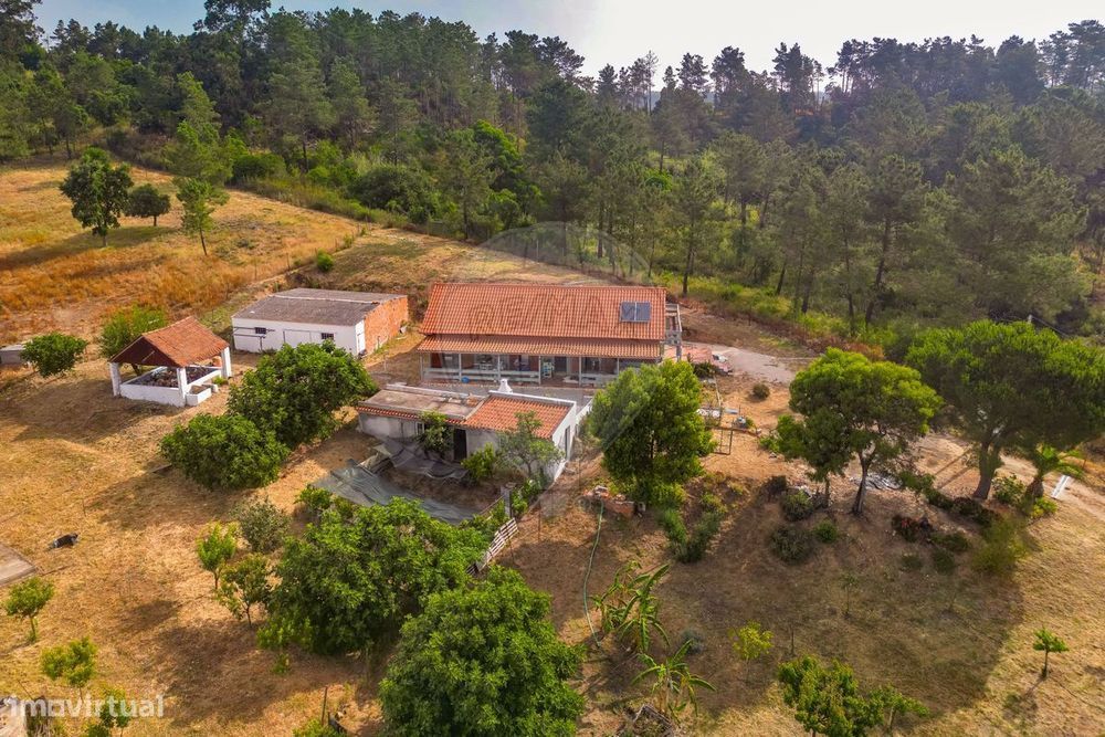 Quinta T3 para venda